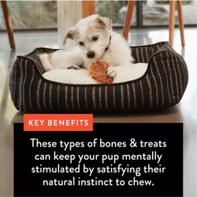 Dentley's® Nature's Chews Adult Dog Chews - Pork Skin Twists - Image 5