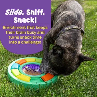 Product Brightkins Color Wheel With Lick Mat