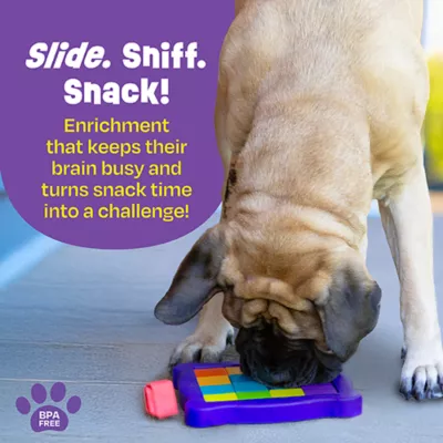 Product Brightkins Pupcasso