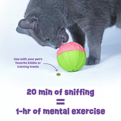 Product Brightkins Watermelon Treat Dispenser