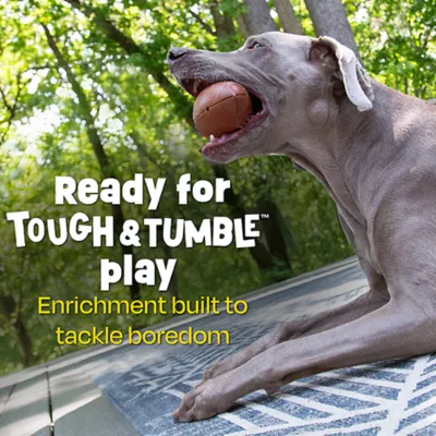 Product Brightkins Football Treat Dispenser