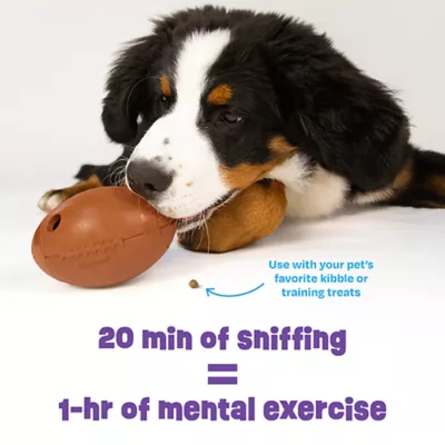 Product Brightkins Football Treat Dispenser