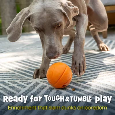 Product Brightkins Basketball Treat Dispenser