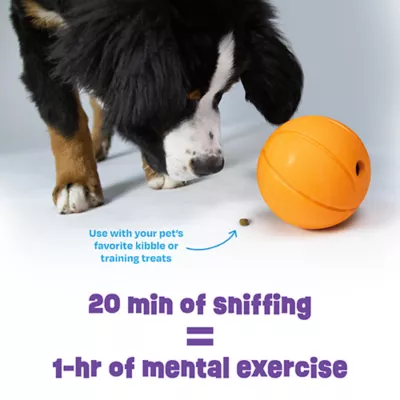 Product Brightkins Basketball Treat Dispenser