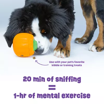 Product Brightkins Tough & Tumble 2 piece Pumpkin