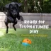 Brightkins Tough & Tumble 2 Piece Texture Ball image thumbnail 2
