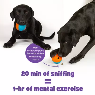 Product Brightkins Tough & Tumble 2 Piece Texture Ball