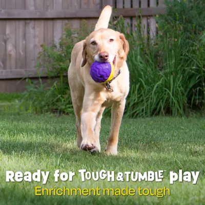 Product Brightkins Tough & Tumble 2-piece Texture Ball