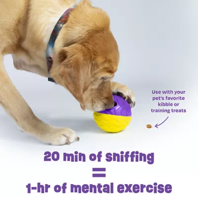 Product Brightkins Tough & Tumble 2-piece Texture Ball