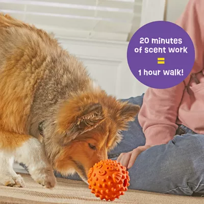 Brightkins Tough & Tumble Treat Dispenser Pufferfish - Image 4