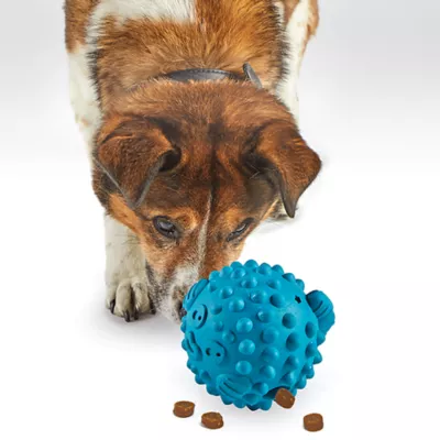 Product Brightkins Tough & Tumble Treat Dispenser Pufferfish