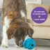 Brightkins Tough & Tumble Treat Dispenser Pufferfish image thumbnail 4