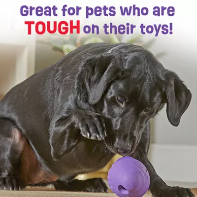 Product Brightkins Tough & Tumble Treat Dispenser Gnome