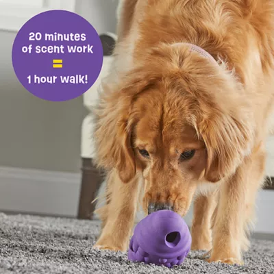 Product Brightkins Tough & Tumble Treat Dispenser Gnome