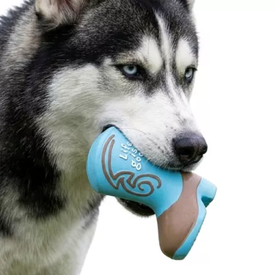 Life Is Good Latex Blue Cowboy Boot - Image 5