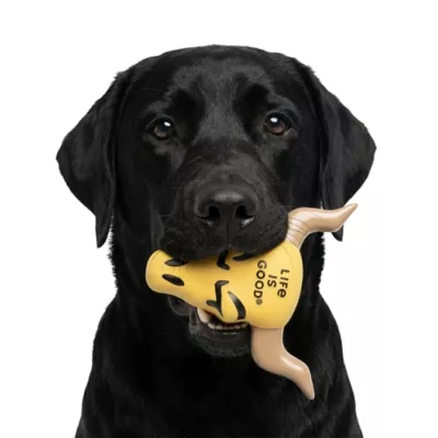 Life Is Good Latex Brown Horns - Image 5