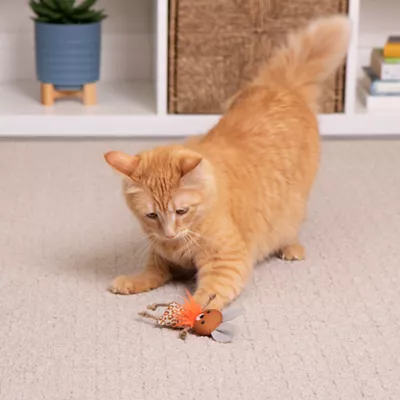 Product SmartyKat Instincts Kookie Kritter