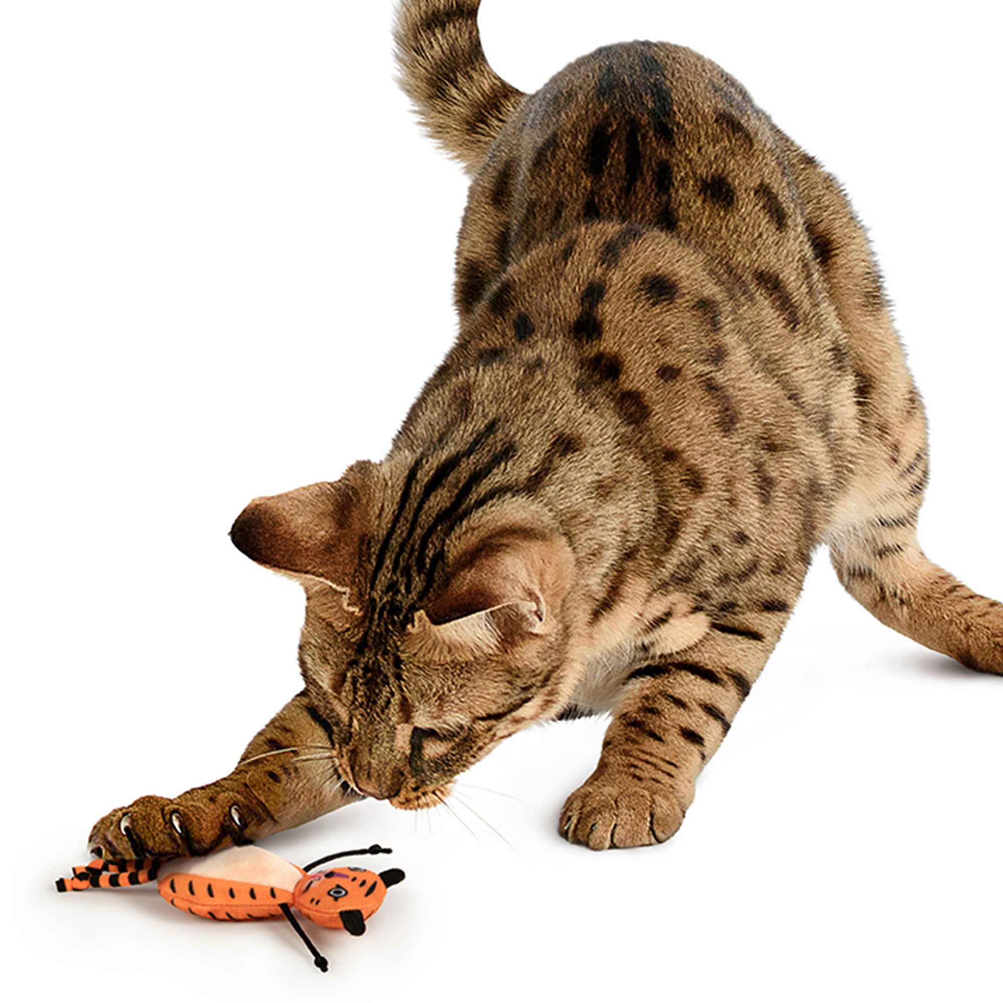 SmartyKat Teasin' Tiger - thumbnail 5
