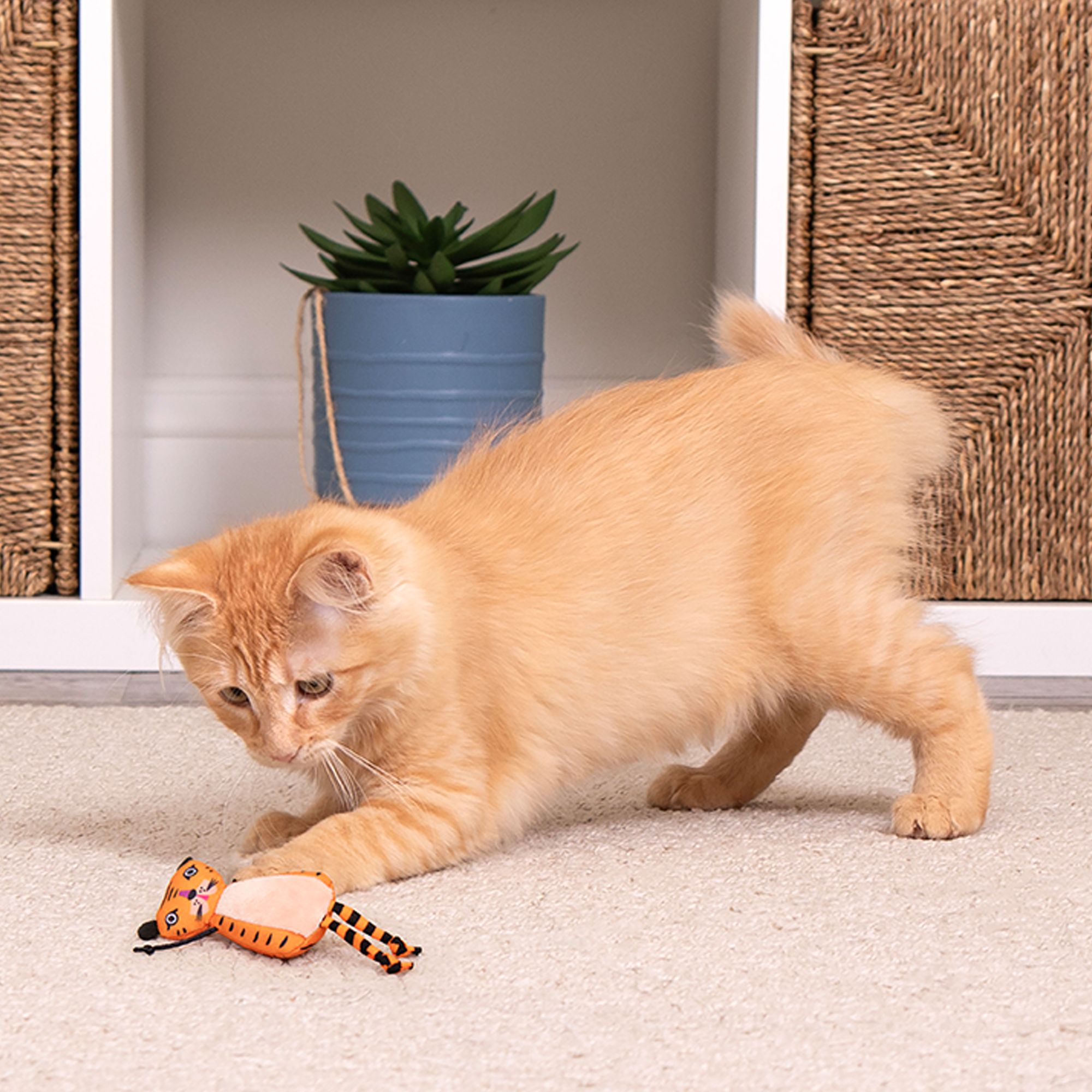 SmartyKat Teasin' Tiger - thumbnail 6