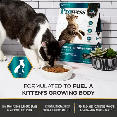 Nulo Prowess Bright Beginnings Kitten Dry Food - Natural, Chicken - Image 4