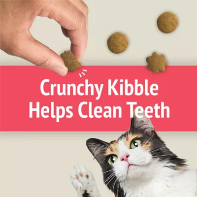 Friskies Party Mix Cat Treats - Image 6