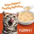 Friskies Lil' Soups Surfin & Turfin Variety Pack, Cat Treats, 34 g x 18 image thumbnail 4