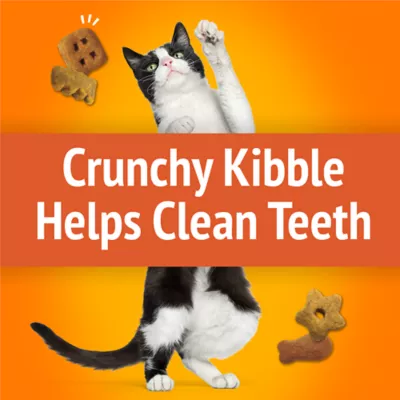Friskies Party Mix Cat Treats - Original Crunch with Real Chicken, 510 g - Image 4