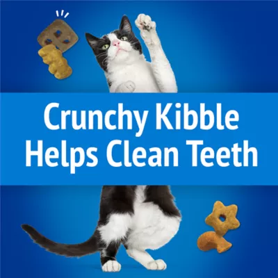 Friskies Party Mix Cat Treats - Ocean Crunch with Real Ocean Whitefish, 510 g - Image 3
