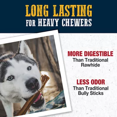 Cadet Bully Hide Sticks All-Nautral Dog Chews Small Bully Stick Small (5 Count) - Image 4