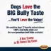 Cadet Bully Hide Sticks All-Nautral Dog Chews Small Bully Stick Small (5 Count) image thumbnail 7