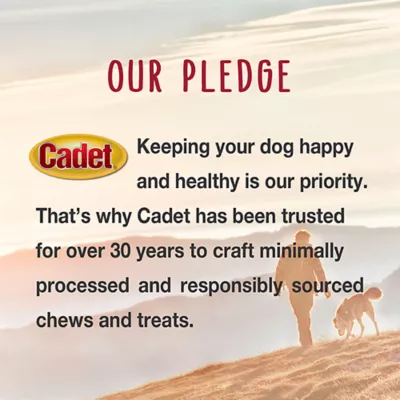 Cadet Adult Bully Stick Dog Chew - 5.2 oz - Image 7