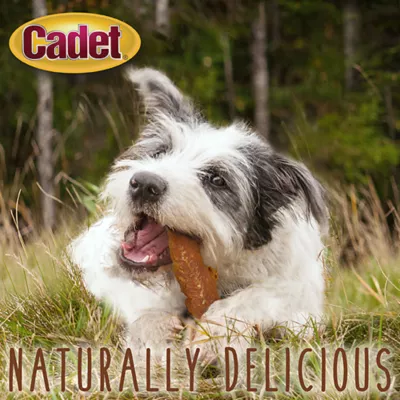 Cadet Gourmet Chicken Breast Dog Treats 14 oz - Image 4