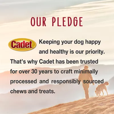 Cadet Gourmet Chicken Breast Dog Treats 14 oz - Image 7