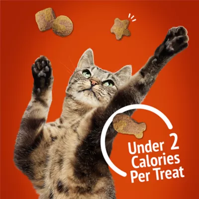 Friskies Party Mix Cat Treats - Gravy-licious Crunch Chicken and Gravy, 510 g - Image 5