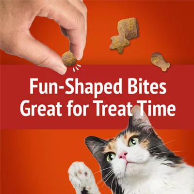 Friskies Party Mix Cat Treats - Gravy-licious Crunch Chicken and Gravy, 510 g - Image 6