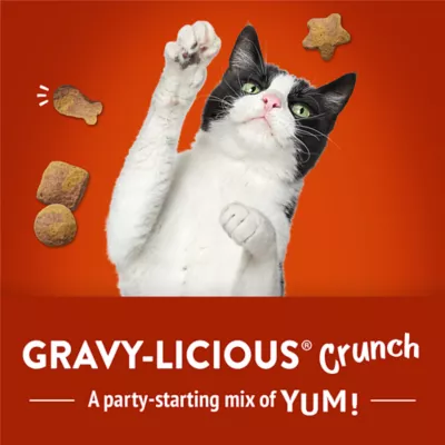 Friskies Party Mix Cat Treats - Gravy-licious Crunch Chicken and Gravy, 510 g - Image 7