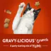 Friskies Party Mix Cat Treats - Gravy-licious Crunch Chicken and Gravy, 510 g image thumbnail 7