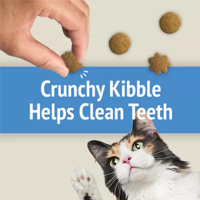 Friskies Party Mix Cat Treats - Naturals Gourmet Crunch with Real Chicken, 510 g - Image 6