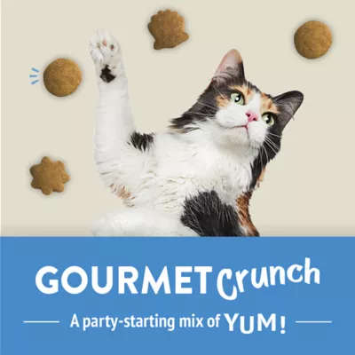 Friskies Party Mix Cat Treats - Naturals Gourmet Crunch with Real Chicken, 510 g - Image 7