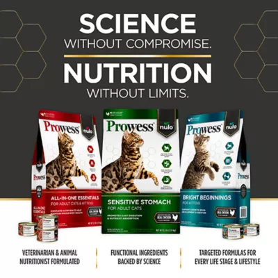 Product Nulo Prowess Bright Beginnings Kitten Dry Food - Natural, Chicken