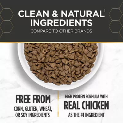 Product Nulo Prowess Bright Beginnings Kitten Dry Food - Natural, Chicken