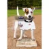 Pets First Atlanta Braves Bat Toy image thumbnail 2