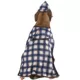 Product Rubies Pet Shop, Detective Costume