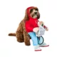 Product Rubies Pet Shop, E.T. Costume