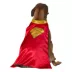 Rubies Pet Shop, Superman Movie: Krypto Cape with Attached Collar image thumbnail 1