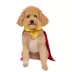 Rubies Pet Shop, Superman Movie: Krypto Cape with Attached Collar image thumbnail 2