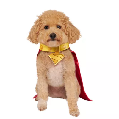 Product Rubies Pet Shop, Superman Movie: Krypto Cape with Attached Collar