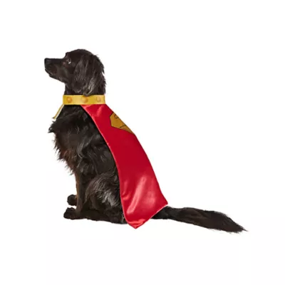 Product Rubies Pet Shop, Superman Movie: Krypto Cape with Attached Collar