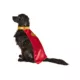 Product Rubies Pet Shop, Superman Movie: Krypto Cape with Attached Collar