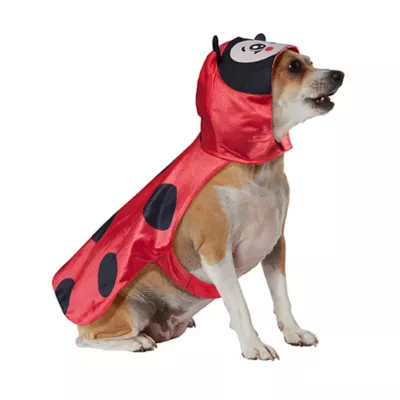 Rubies Pet Shop, Ladybug Costume - Image 1